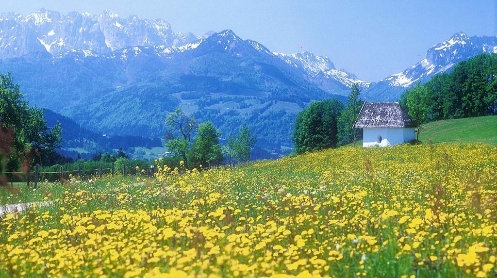Berg Hotel Weingarten Garni Rimsting Room photo